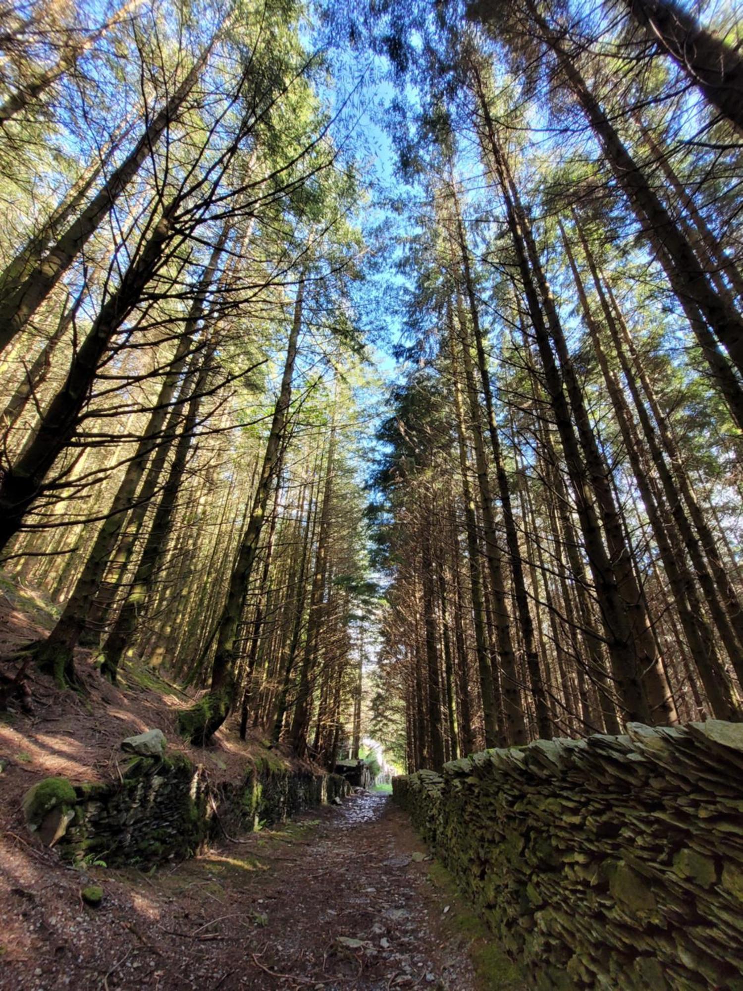 The Granary Corris On The Edge Of The Dyfi Forest Bagian luar foto