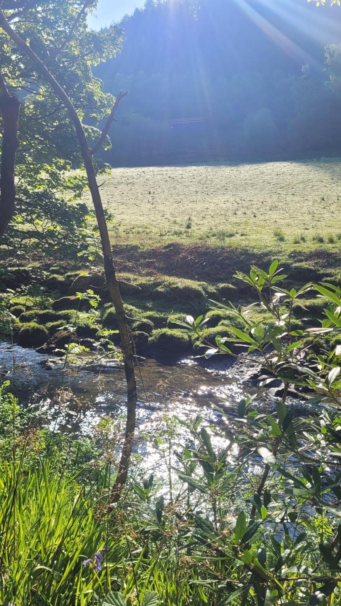The Granary Corris On The Edge Of The Dyfi Forest Bagian luar foto
