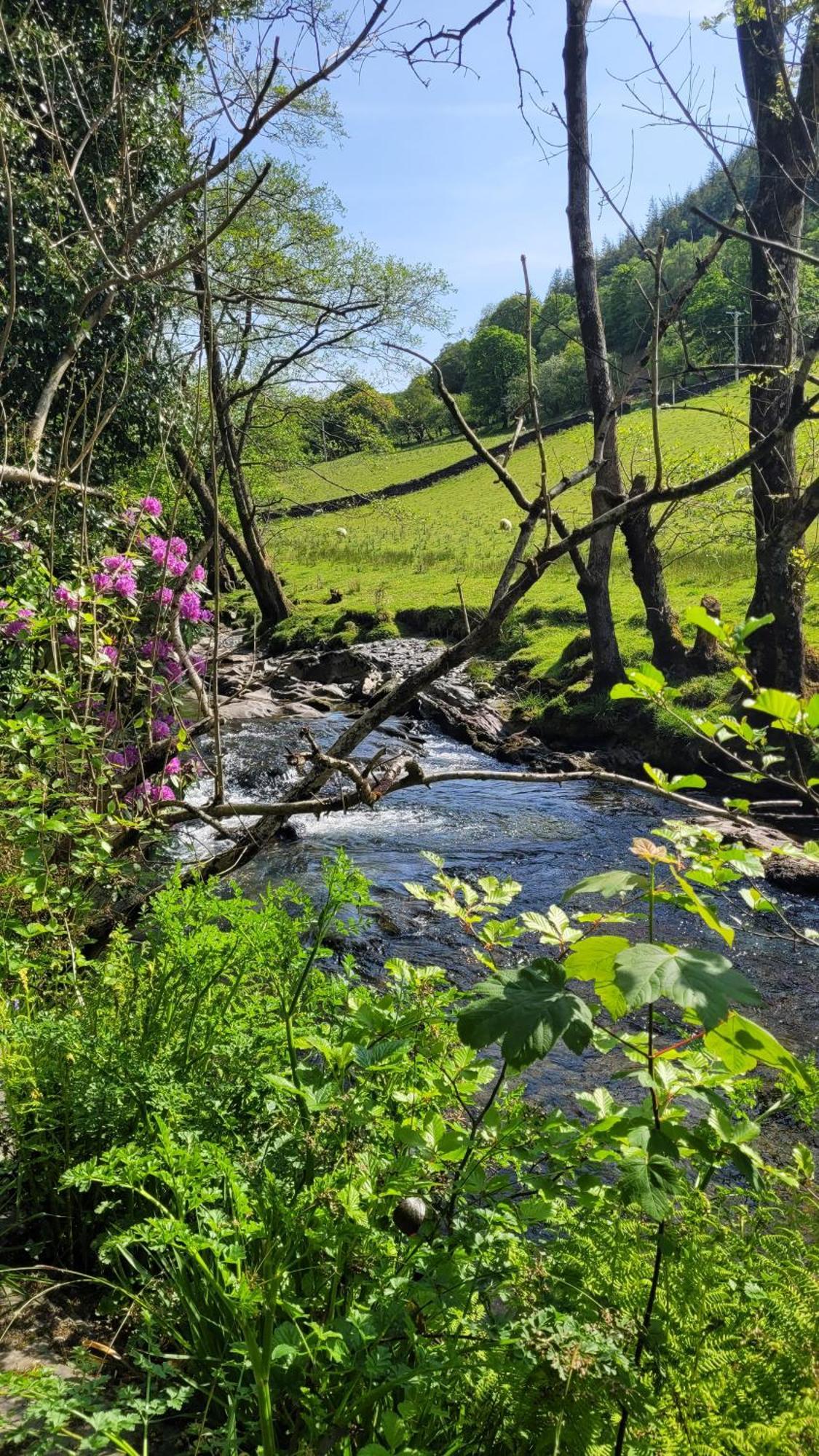 The Granary Corris On The Edge Of The Dyfi Forest Bagian luar foto