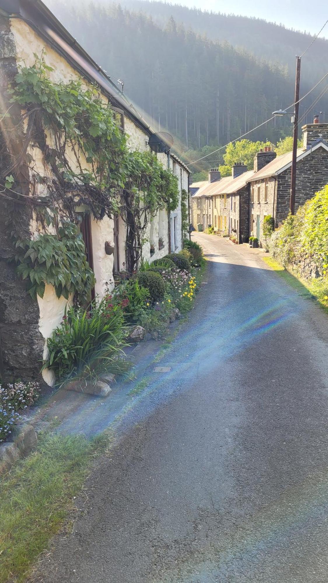 The Granary Corris On The Edge Of The Dyfi Forest Bagian luar foto